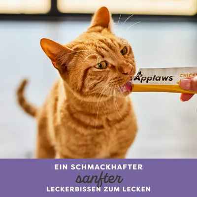 Sparpaket Applaws Cremige Leckerei 16 x 15 g