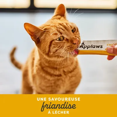 Applaws Friandise crémeuse 8 x 15 g