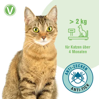 Vetlando Kokolaurin Zecken- & Floh-Halsband Katze