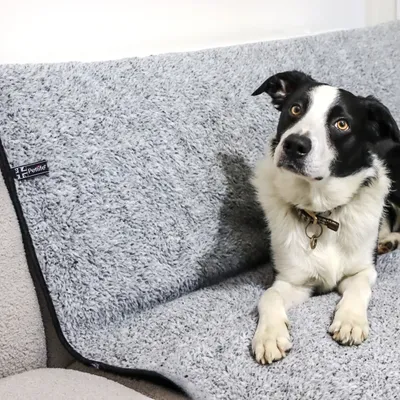 Vetbed® Sherpa Fleece Couverture pour animaux domestiques , grise