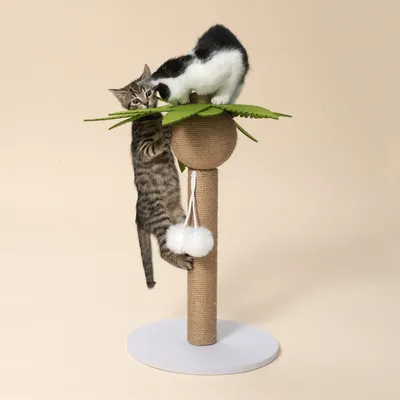 TIAKI klorestolpe palme