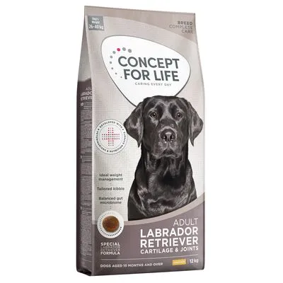 Concept for Life Labrador Retriever Adult