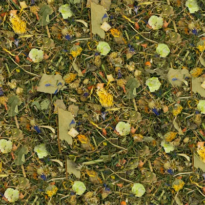 JR Farm Plastic Free without Pellets Guinea Pig Food