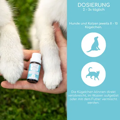 Wolfsbacher Natur Bachblüten