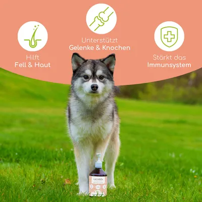 Wolfsbacher Natur Lachsöl für Hunde