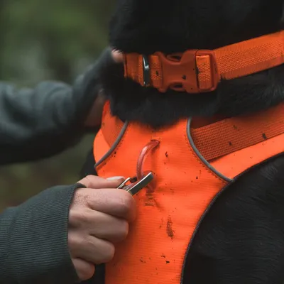 Ruffwear Front Range szelki dla psa, Blaze Orange