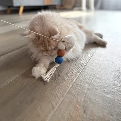 Aumüller Canne à pêche pour chat Filoa Macramee