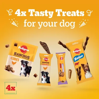 Pedigree Dog Treats Party Pack - 241g
