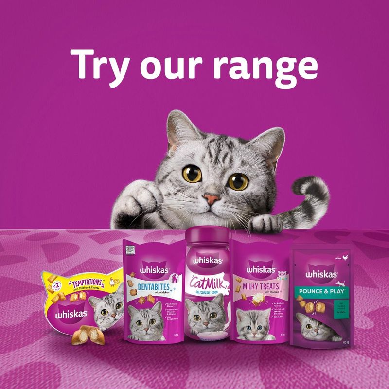 Whiskas Dentabites Mega Pack with Chicken