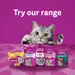 Whiskas Dentabites Mega Pack with Chicken