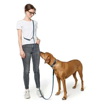 Zgardă HUNTER Wolmar BioThane® și piele, albastru-fum/ negru