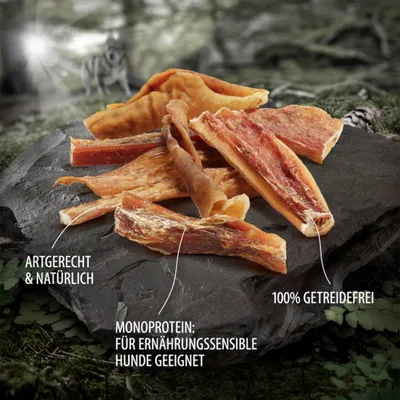 Wolf of Wilderness Rinderkopfhaut "High Prairie" - 500 g Wolf of Wilderness Rinderkopfhaut "High Prairie" - 500 g