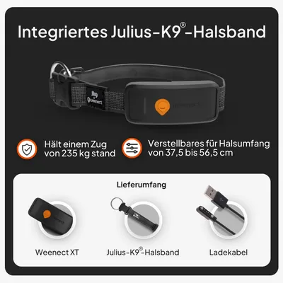 Weenect Haustier GPS Tracker XT für Hunde