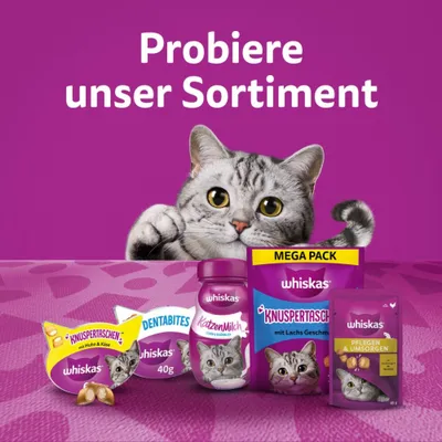 Whiskas Knuspertaschen