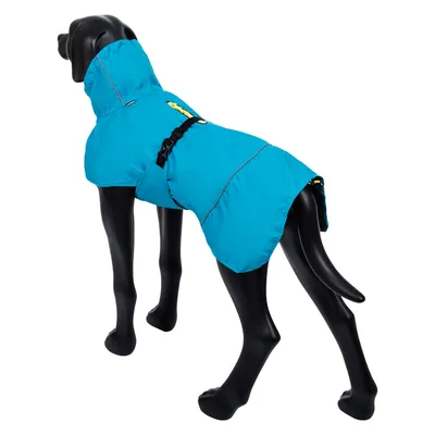 Icepeak Pet Hunderegenmantel Strike, türkis