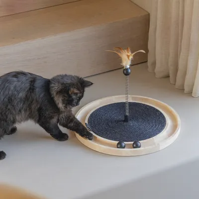 Designed by Lotte katt­leksak Idah i trä