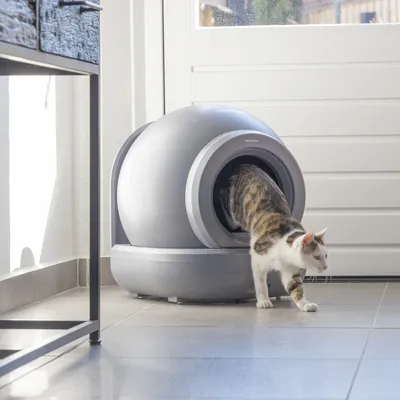 beeztees automatisk kattlåda Moeza