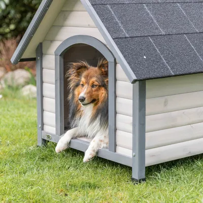 Trixie Hundehütte Cottage Trixie Hundehütte Cottage