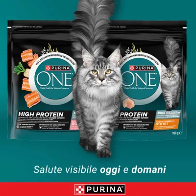 PURINA ONE High Protein alimento per gatti, supporta muscoli forti e un cuore sano, alta digeribilità, ricco di pollo come ingrediente n. 1, 900 g. PURINA ONE High Protein alimento per gatti, supporta muscoli forti e un cuore sano, alta digeribilità, ricco di pollo come ingrediente n. 1, 900 g.