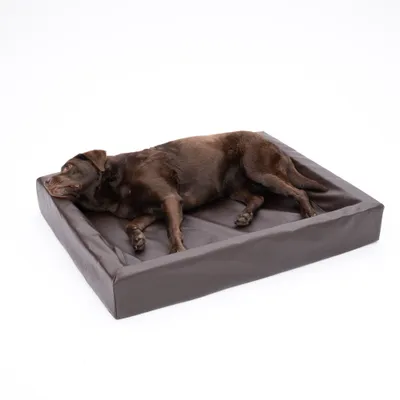 Modern Living Hundebett Tabac