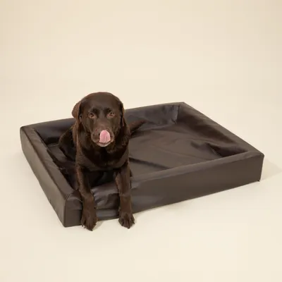 Modern Living Hundebett Tabac