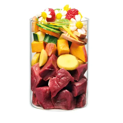 Terra Canis Derma Diet 12 x 400 g výhodné balení - jehněčí