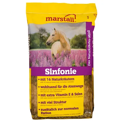 Marstall Sinfonie