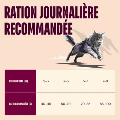 Carnilove Active Cat Saumon et Dinde