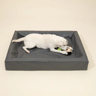 Modern Living Dog Bed – Granite Modern Living Dog Bed – Granite