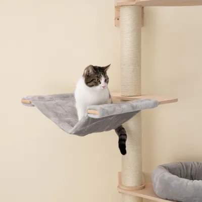 Natural Paradise väggklösträd