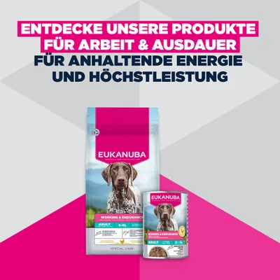 Eukanuba Special Care Working & Endurance Adult