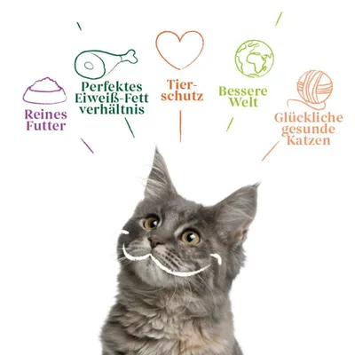 Yarrah Bio Chunks 16 x 100 g