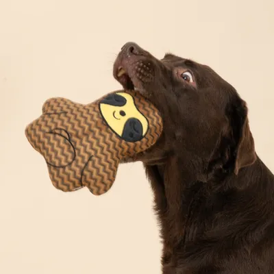 Perro sostiene un juguete de tela marrón en forma de animal con cara amarilla en la boca. Perro sostiene un juguete de tela marrón en forma de animal con cara amarilla en la boca.