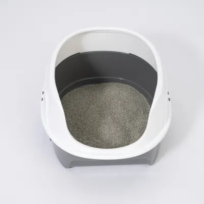 zooplus Basics kattenbak met rand - grijs / wit