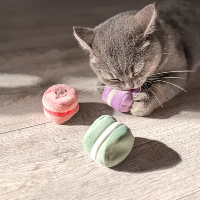 Aumüller Jouet Macarons pour chat Aumüller Jouet Macarons pour chat