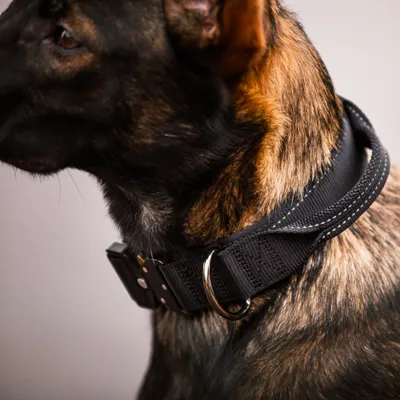 Rukka Halsband Mission, schwarz