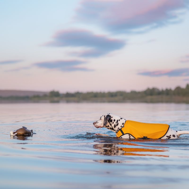 Rukka Hundespielzeug Schwimmendes Walross