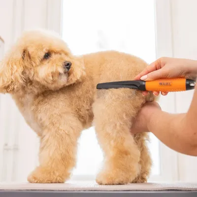 Wahl Grooming Comb hundkam Wahl Grooming Comb hundkam