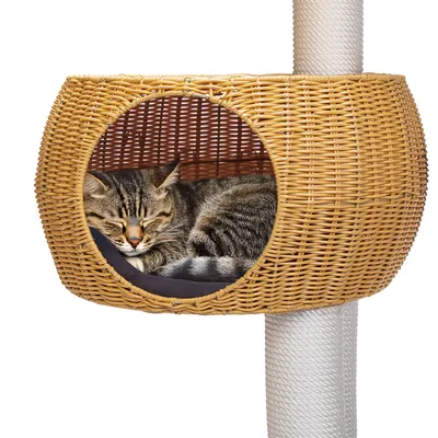 Karlie Outdoor Kratzbaum III