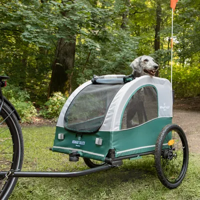 Grüner Fahrradanhänger von Nomad Tales mit Netzfenstern und orangefarbener Fahne, Hund schaut aus dem oberen Fenster. Im Hintergrund Waldlandschaft.