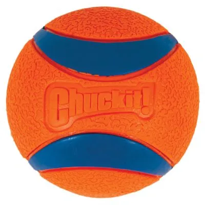 Chuckit! oranje bal met blauwe strepen, merknaam zichtbaar op het oppervlak