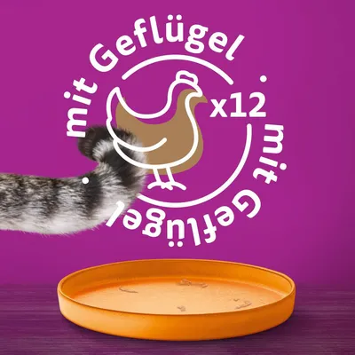 Med fjerkræ x12. Illustration af en høne på lilla baggrund med tom orange foderskål og synlig kattehalepote.