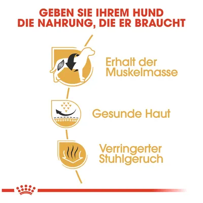 Geben Sie Ihrem Hund die Nahrung, die er braucht: Erhalt der Muskelmasse, gesunde Haut, verringerter Stuhlgeruch.