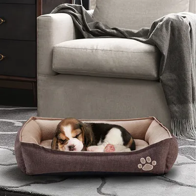 Rechthoekig hondenbed van stof met opstaande randen en pootafdrukmotief, liggend in een woonkamer. Hond ligt in het bed.