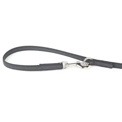 Schwarze Hundeleine aus Nylon mit silbernem Metallkarabiner und Ring.