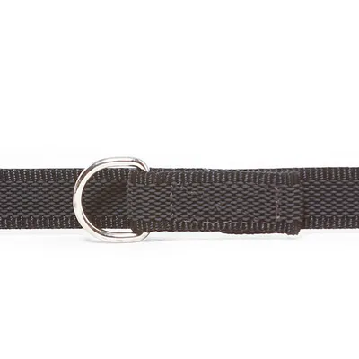 Schwarzes Nylon-Halsband mit silbernem Metall-D-Ring, geeignet für Befestigung von Leinen.