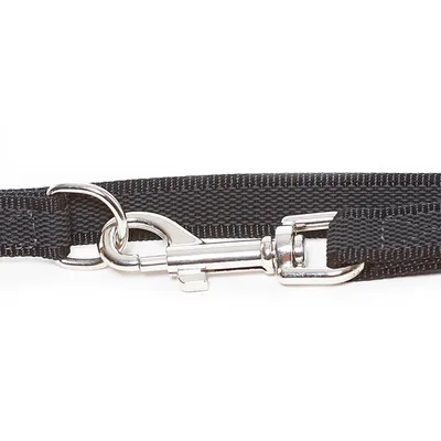 Schwarze Hundeleine aus Nylon mit silbernem Metallkarabiner und D-Ring.