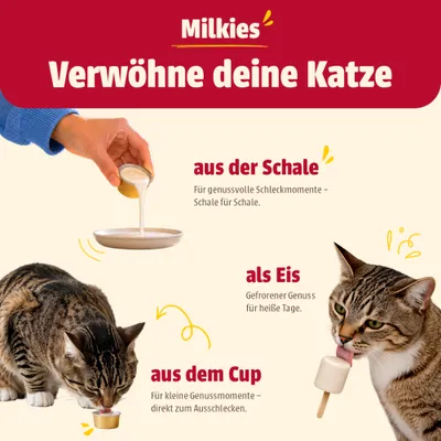 Milkies Verwöhne deine Katze: aus der Schale, als Eis oder aus dem Cup. Für genussvolle Schleckmomente und gefrorenen Genuss direkt zum Ausschlecken. Milkies Verwöhne deine Katze: aus der Schale, als Eis oder aus dem Cup. Für genussvolle Schleckmomente und gefrorenen Genuss direkt zum Ausschlecken.