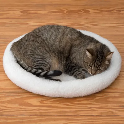 Graue Katze liegt auf einem weissen, runden Katzenbett aus weichem Material auf Holzboden.