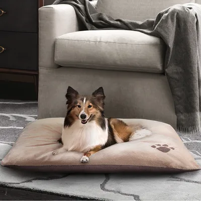 Coussin pour chien en tissu beige avec motif patte, chien de taille moyenne allongé dessus. Convient pour le repos des animaux à la maison.